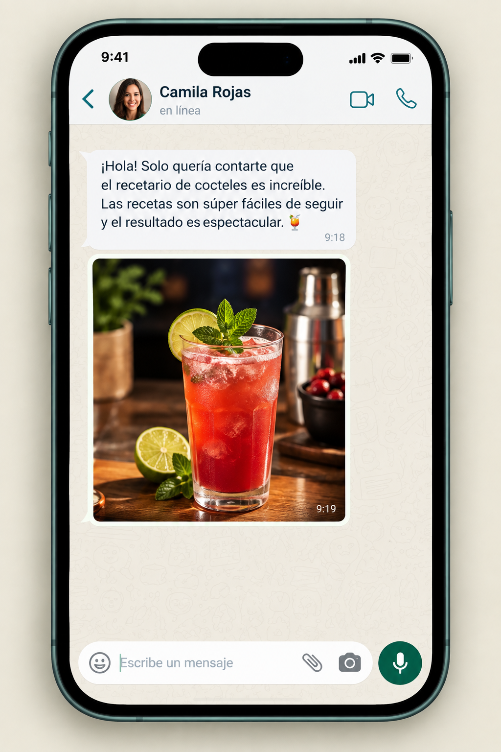 Captura de WhatsApp: Camila Rojas dice que las recetas son fáciles de seguir y el resultado es espectacular